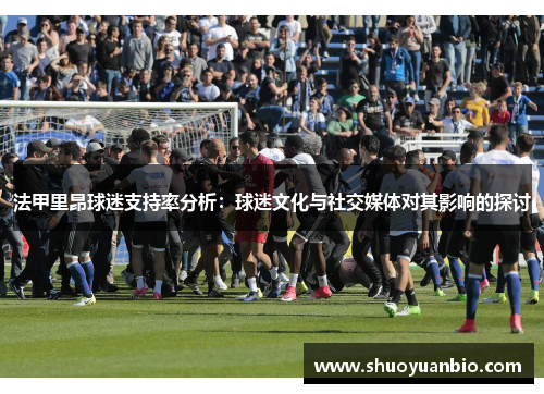 法甲里昂球迷支持率分析：球迷文化与社交媒体对其影响的探讨