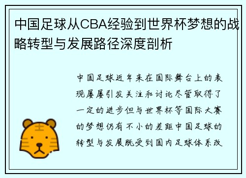 中国足球从CBA经验到世界杯梦想的战略转型与发展路径深度剖析