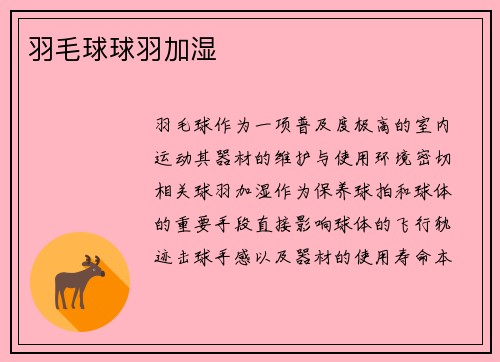 羽毛球球羽加湿