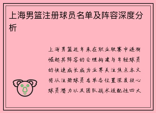 上海男篮注册球员名单及阵容深度分析